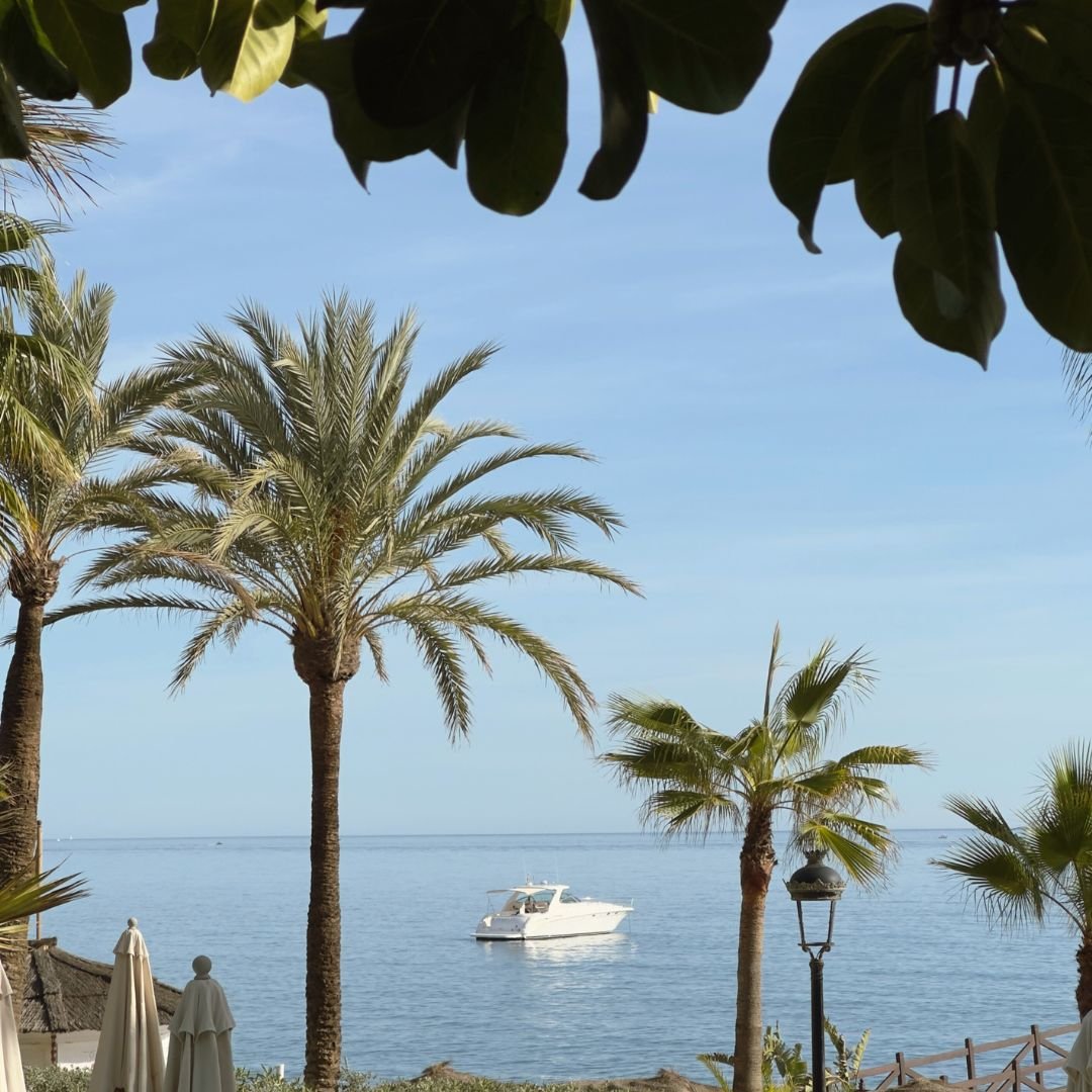 Marbellas best beach clubs. An Amrein Properties guide.