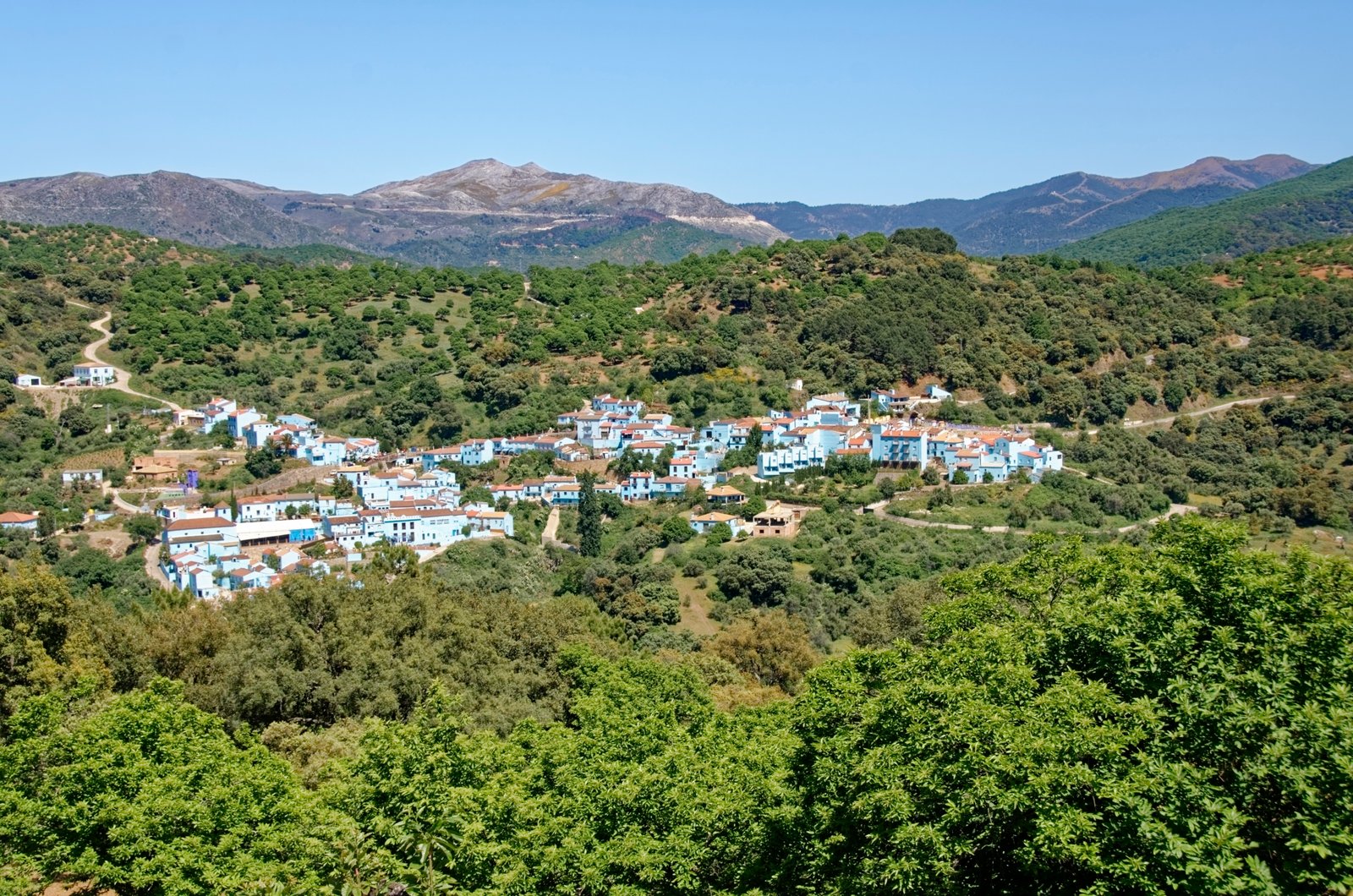 Juicer, Smurf Village, Quaint, Blue